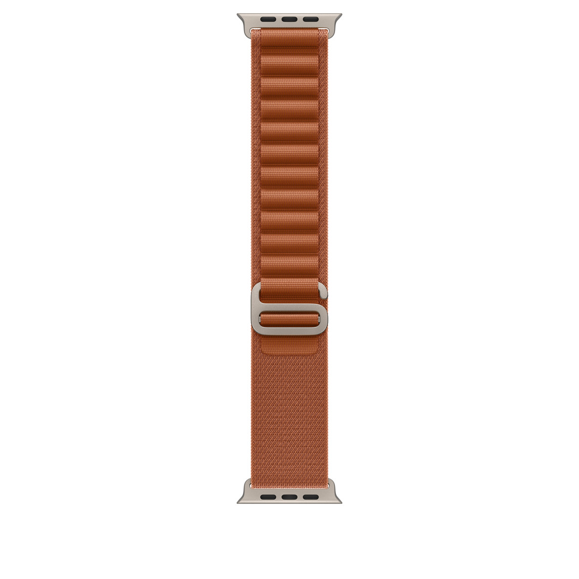 Correa Apple Alpine Titanio Natural Caja 49 mm M Terracota            