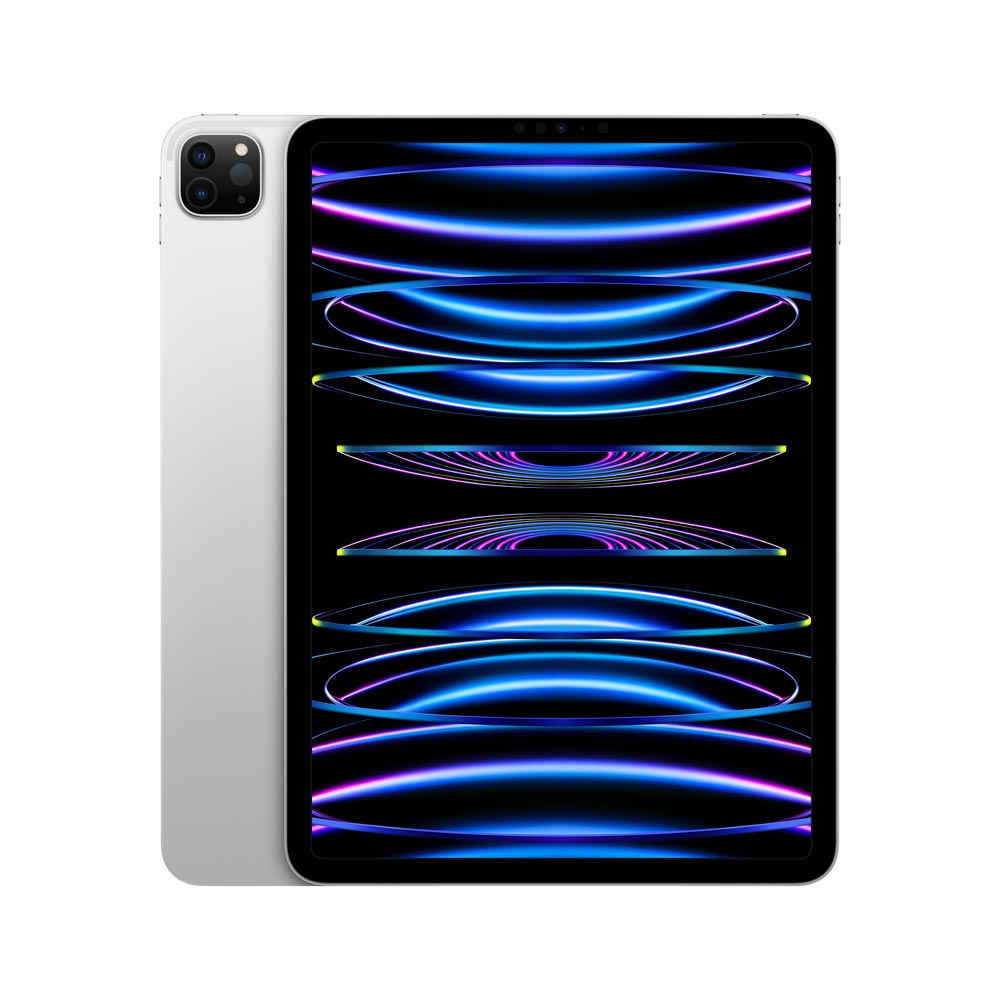 iPad Pro 11" MNXN3LZ/A Wi-Fi 2TB Plata                                