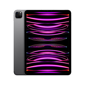 Compra iPad Pro 11" MNYL3LZ/A Wi-Fi + Cellular 2TB Gris Espacial