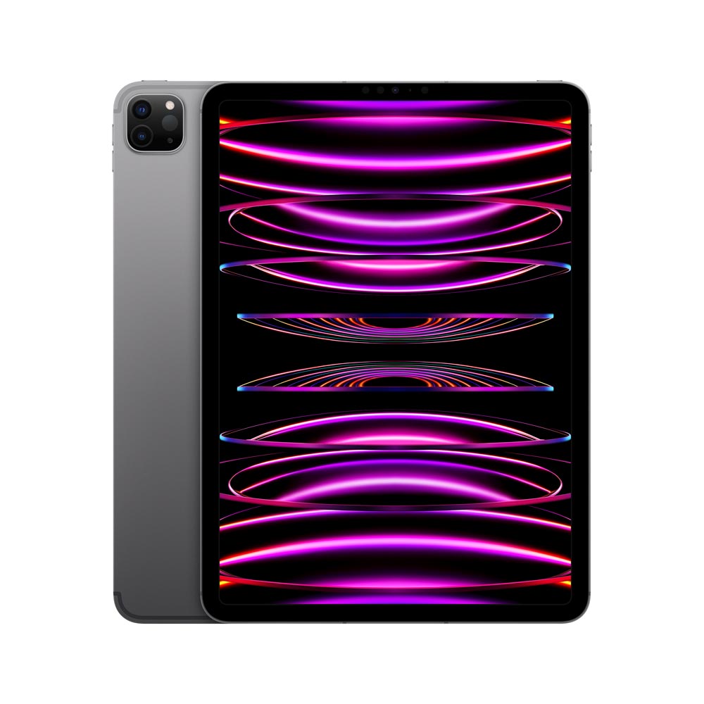 iPad Pro 11" MNYL3LZ/A Wi-Fi + Cellular 2TB Gris Espacial             