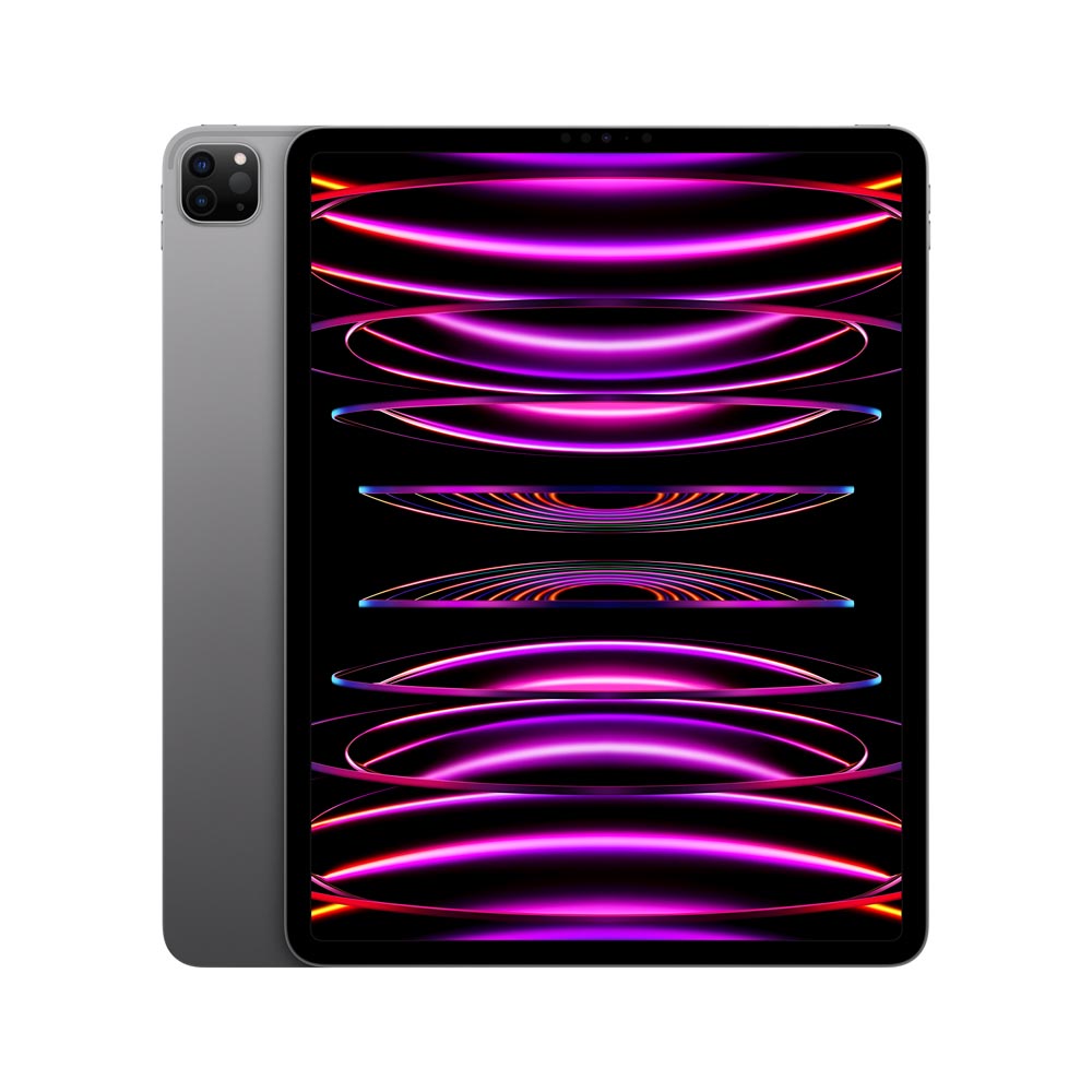 iPad Pro 12.9" MNXR3LZ/A Wi-Fi 256GB Gris Espacial                    