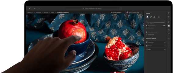 Una MacBook Pro con pantalla PROLED XDR muestra una imagen con granadas y cerámicas y textiles azules, Una mano se acerca a la pantalla para interactuar con la obra