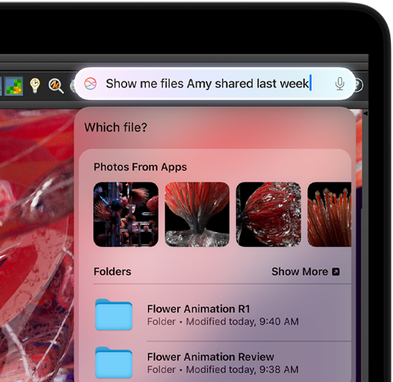 Una persona teclea una solicitud a Siri para encontrar archivos mientras trabaja en la app Houdini