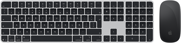 Vista desde arriba de un Magic Keyboard con Touch ID y un Magic Mouse