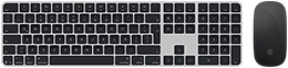 Vista desde arriba de un Magic Keyboard con Touch ID y un Magic Mouse